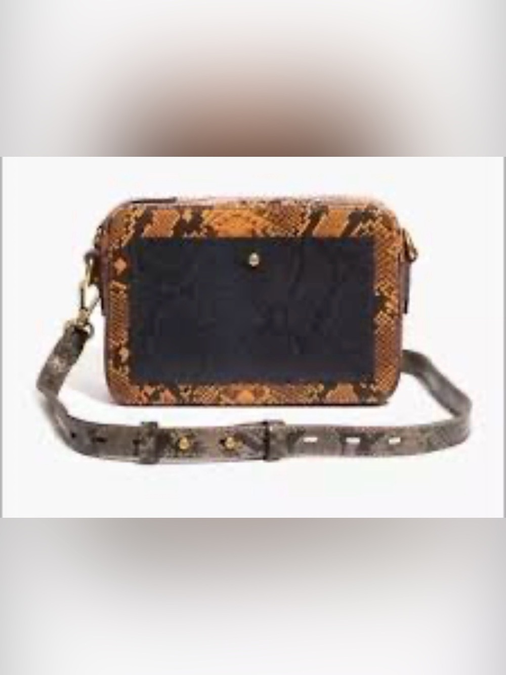 Madewell Transport Camera Bag Colorblock Snake Embossed Edition
